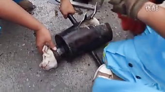 鋼管與扣件 現代建筑施工中的關鍵構件